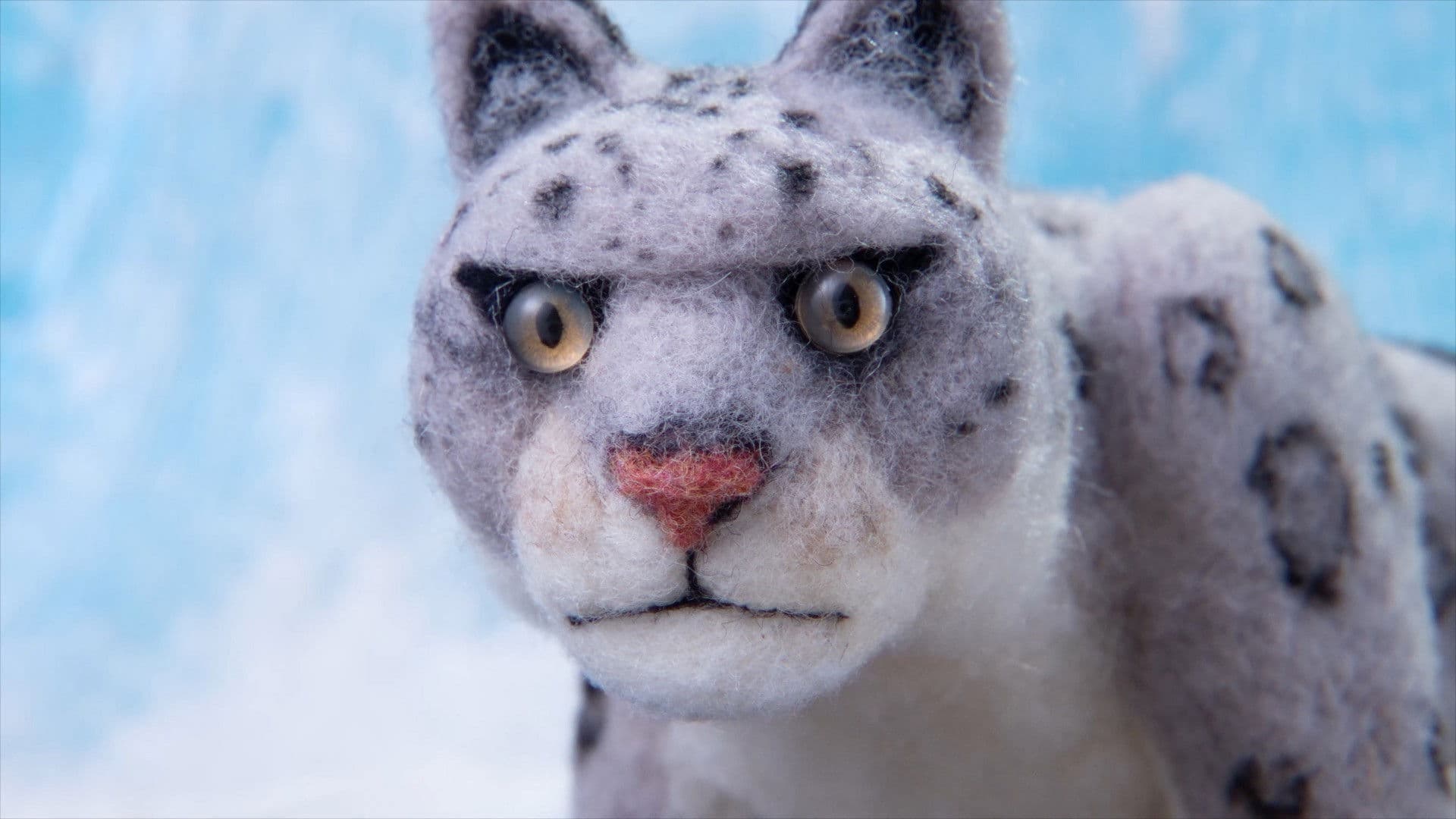 The Boy Who Cheated Death