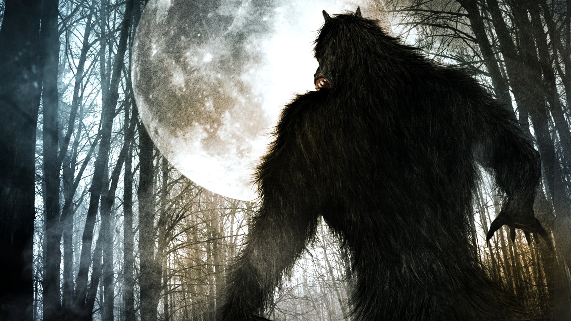 Werewolf Rising