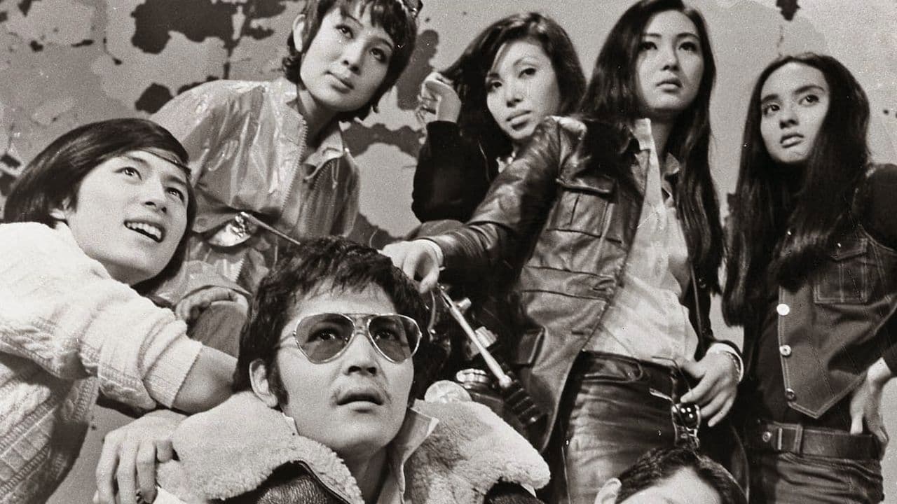 Stray Cat Rock Collection