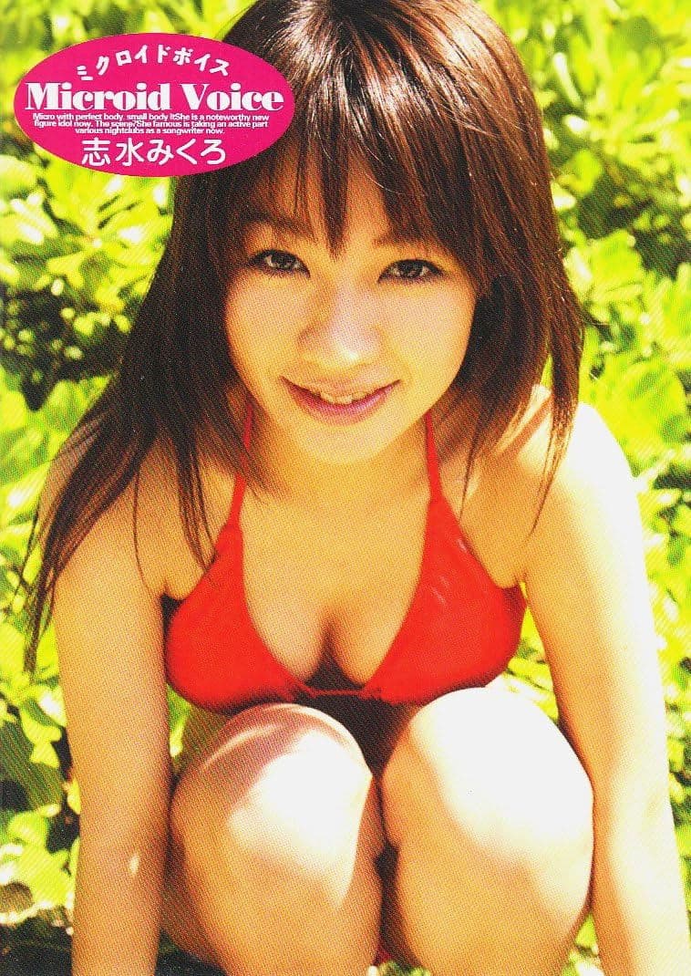 ミクロイドボイス 志水みくろ