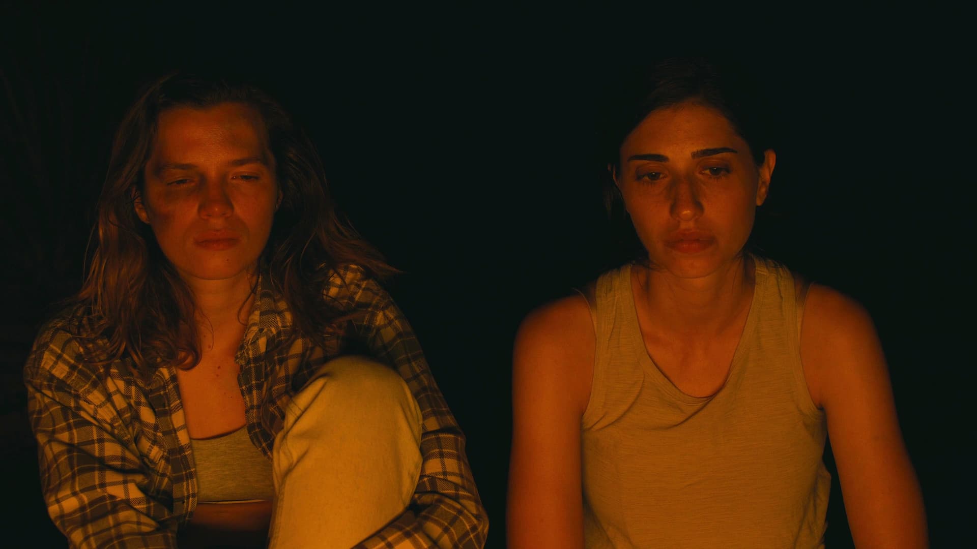 I've Always Loved Bonfires