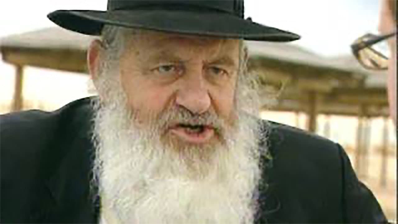 Uri Zohar: Peeping In