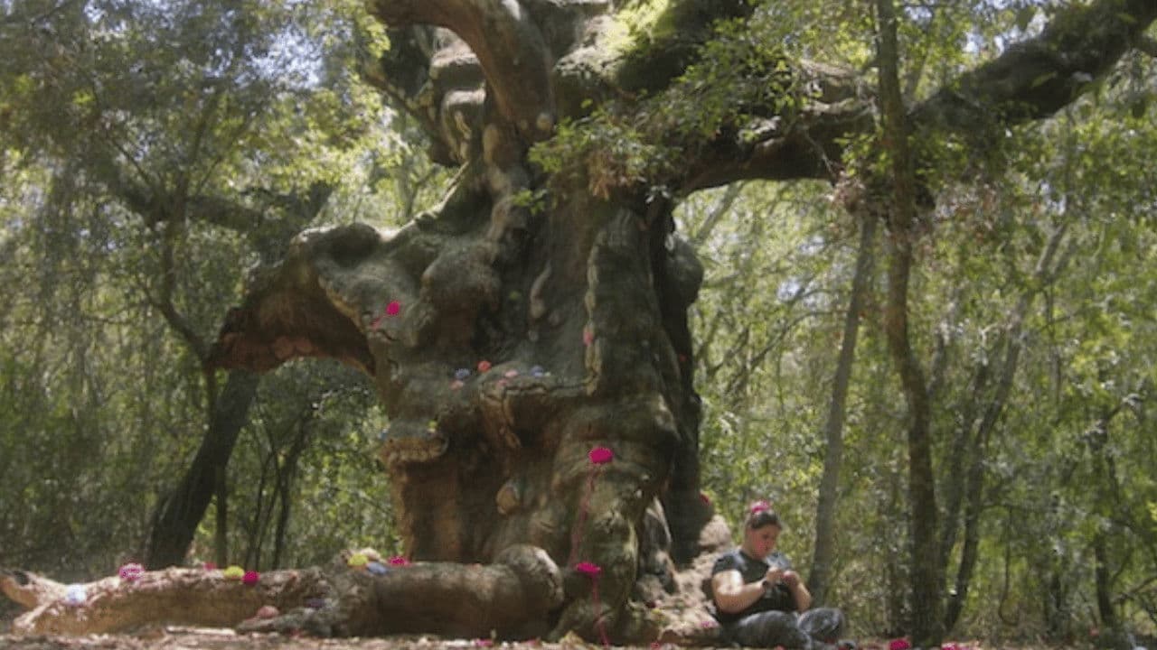 Valentina and the MUOSters