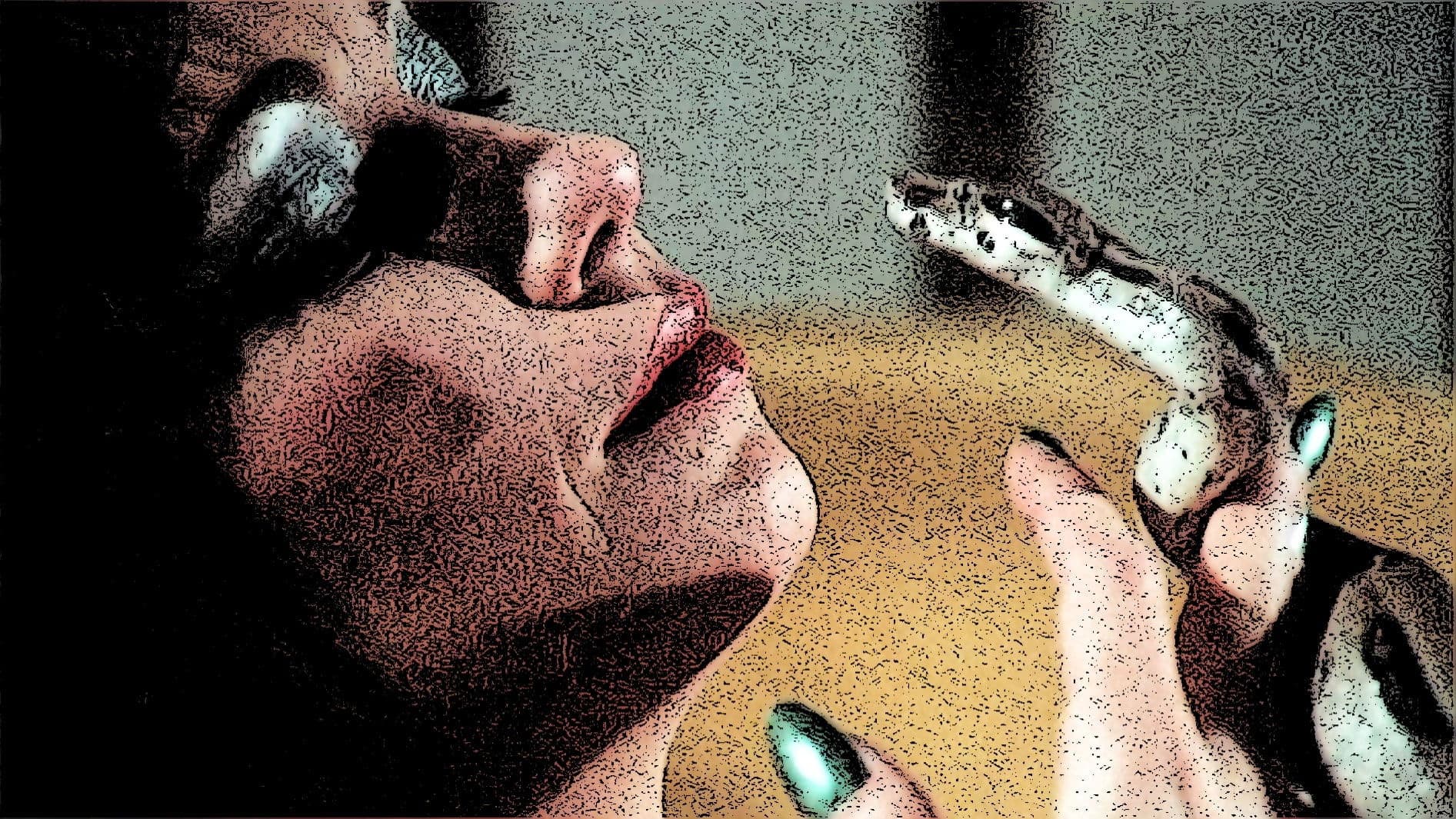 The Devil in Miss Jones Collection