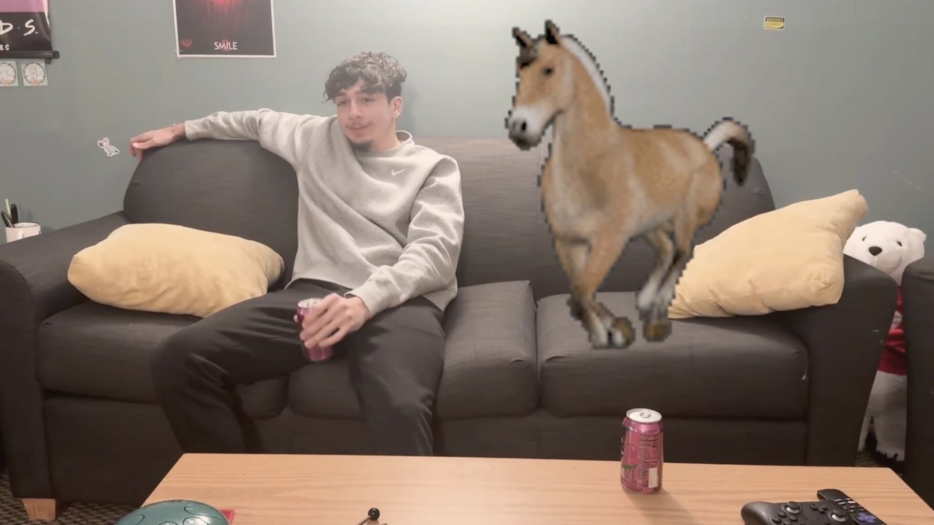 My Roommate, The Horse