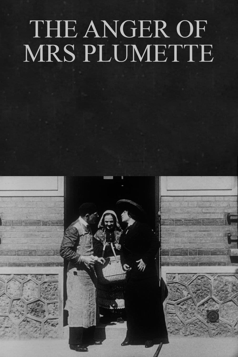 The Anger of Mrs Plumette