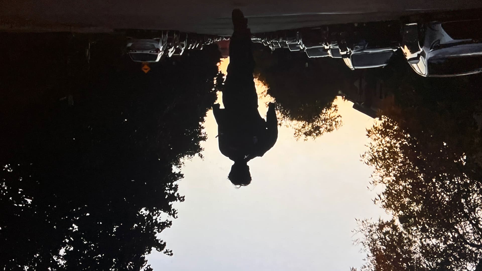 Florent's Birthday Video!