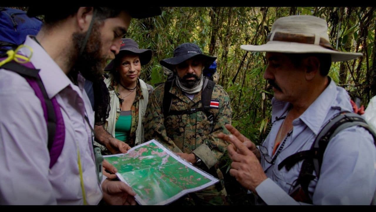 La última búsqueda