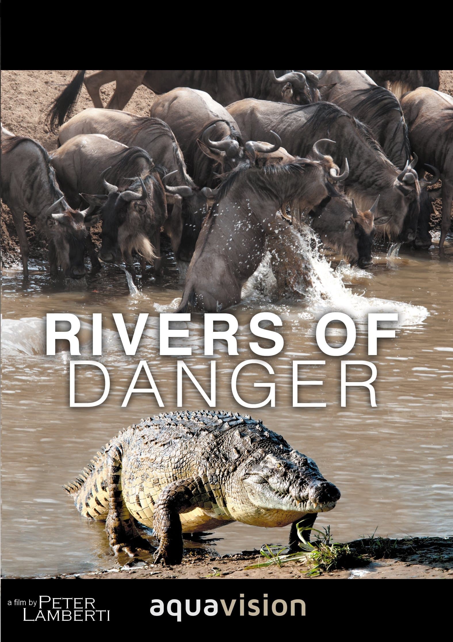 Rivers of Danger