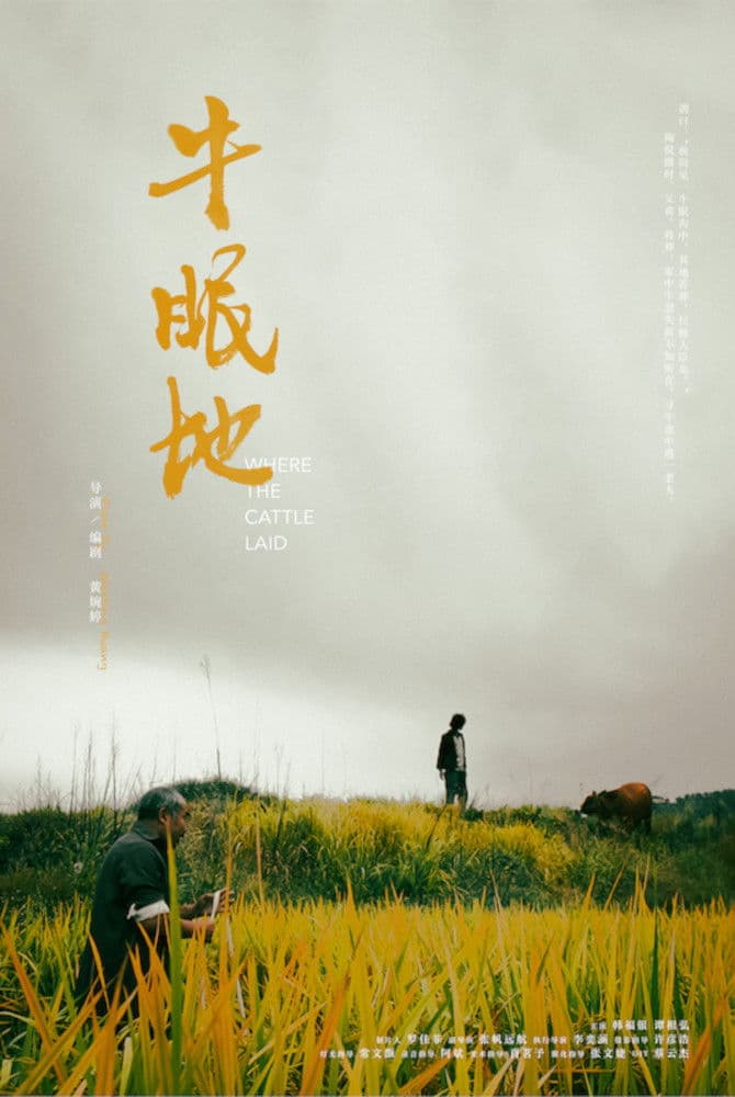 Where the Cattle Laid