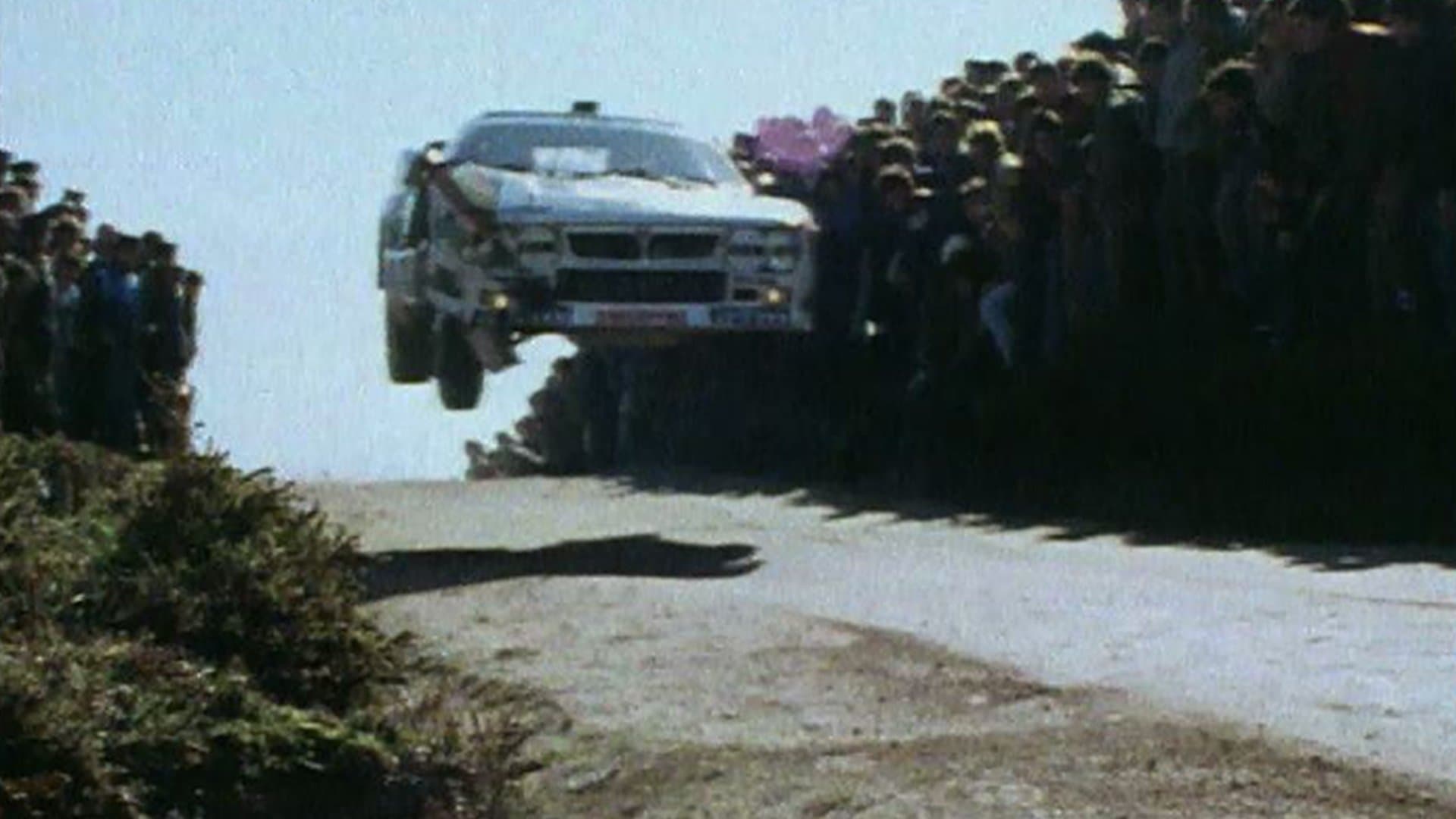 Too Fast to Race Collection