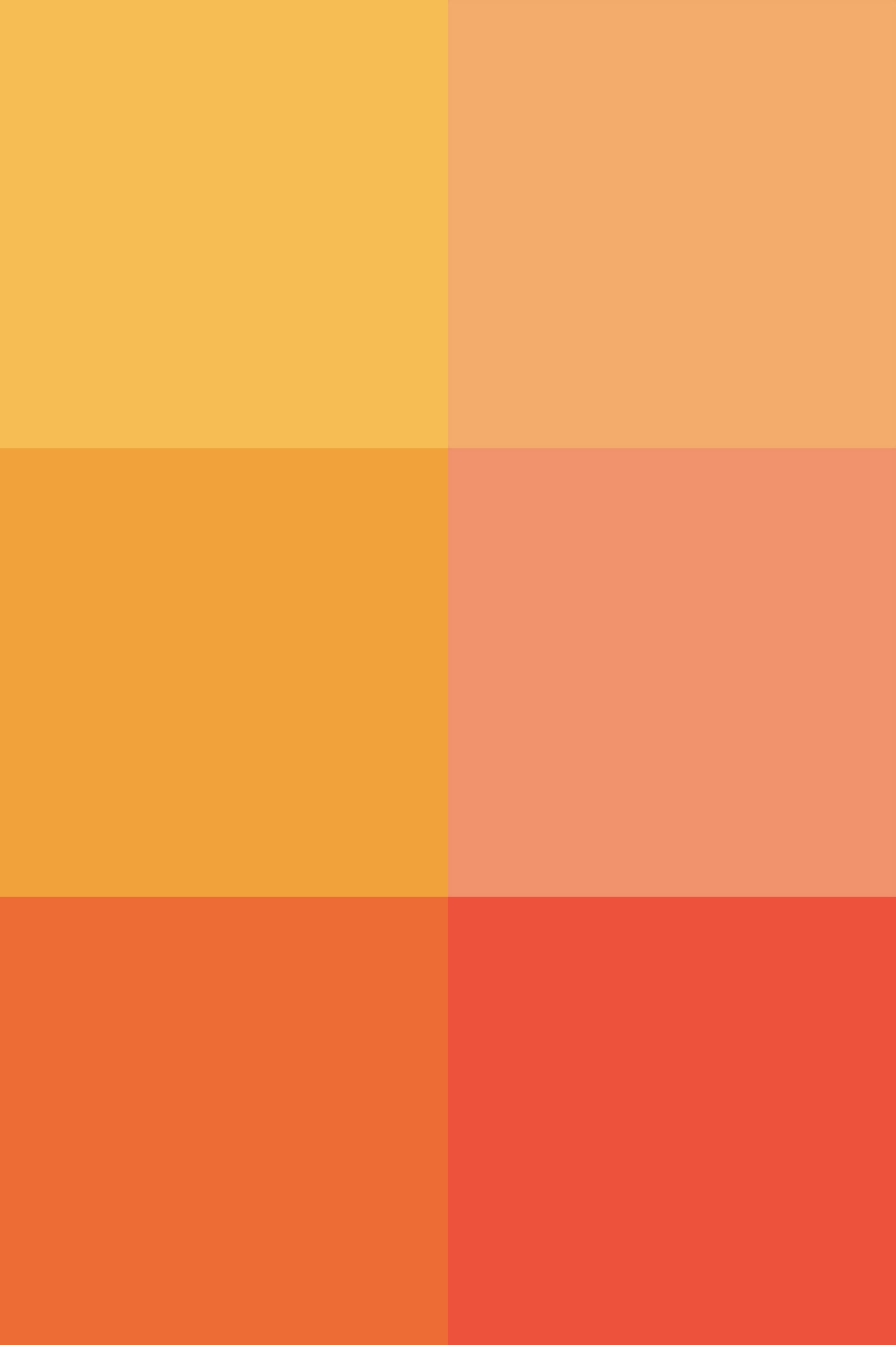 #ef795a, #f49956, #e94e1b, #f9b233, #f39200, #e7302a.