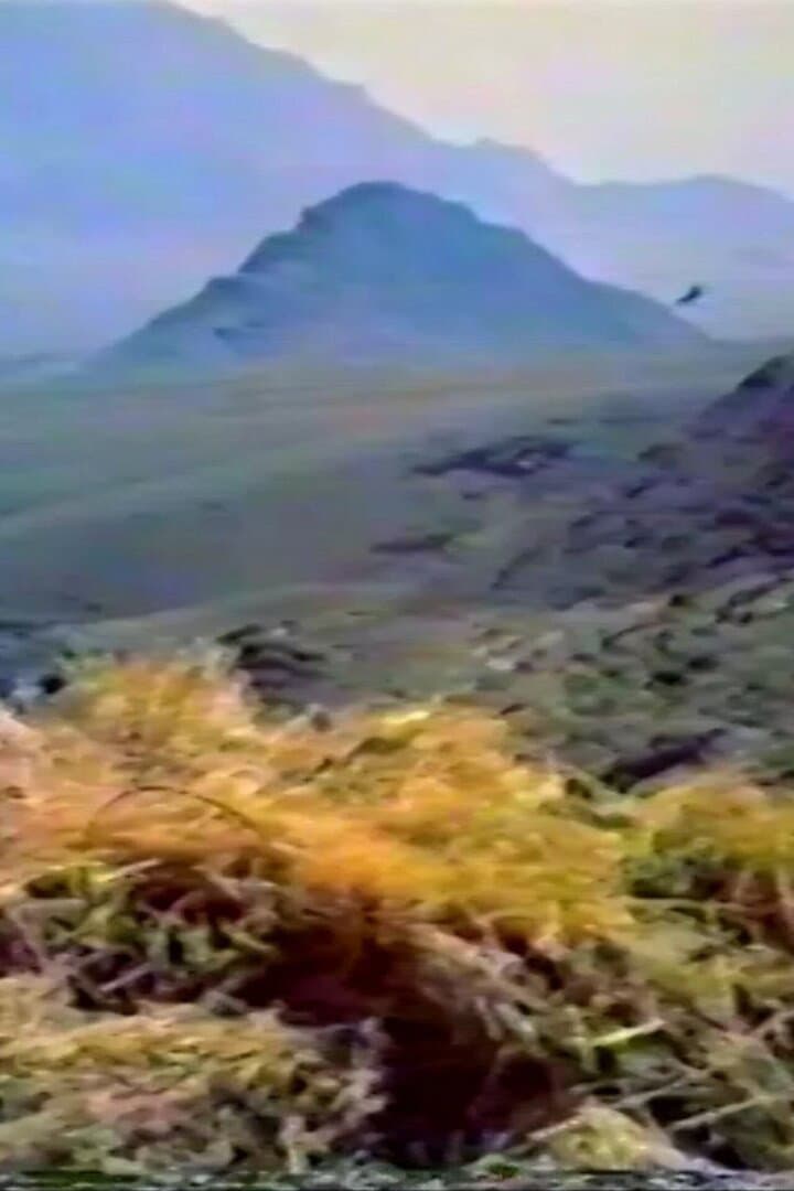 Think of the Kind Mountain