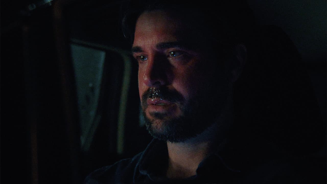 Everybody Wants to go to The Party