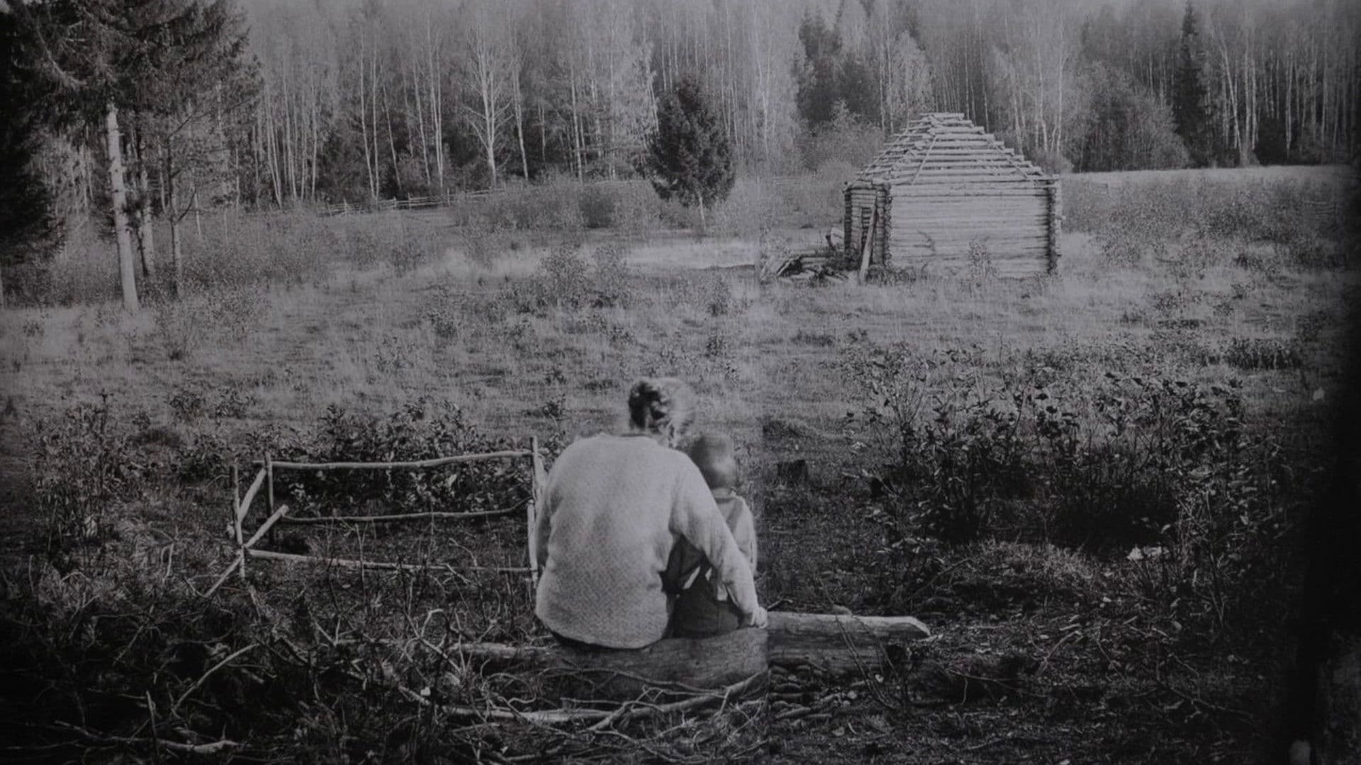 The Dream in the Mirror