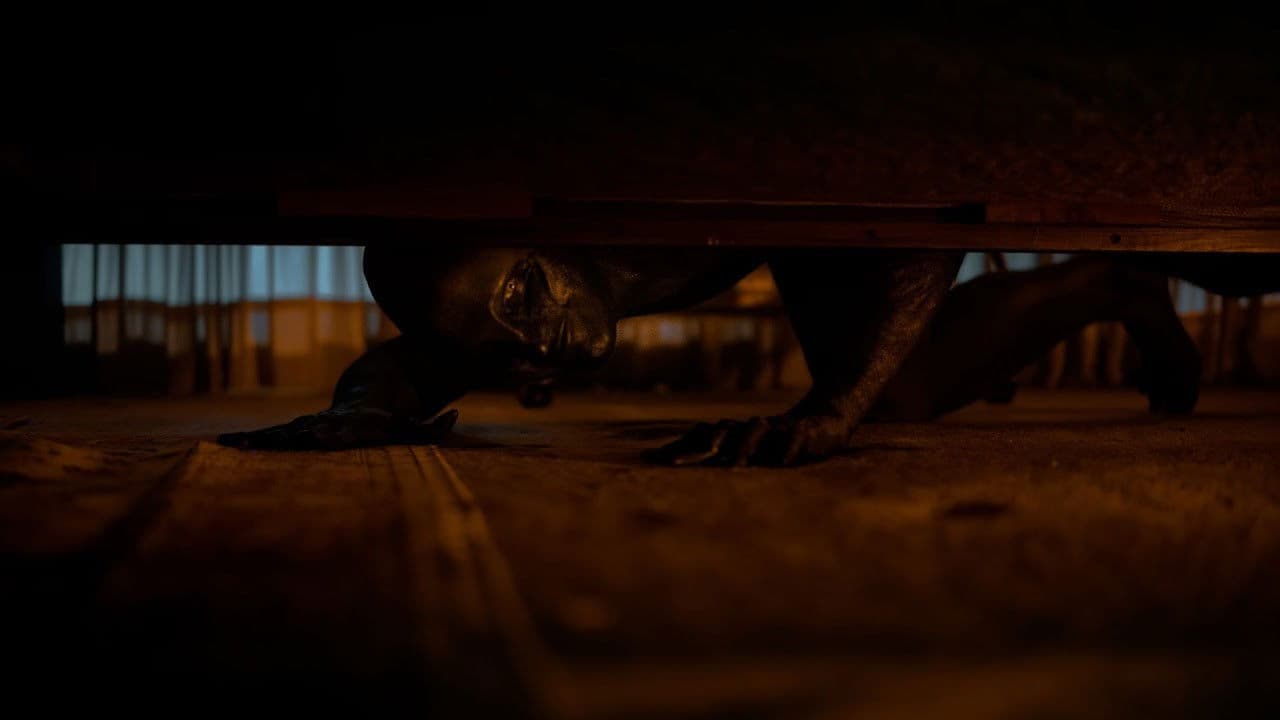 Carta de amor a la muerte