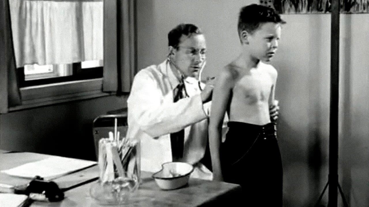 Oslofilm: Summer Paradise