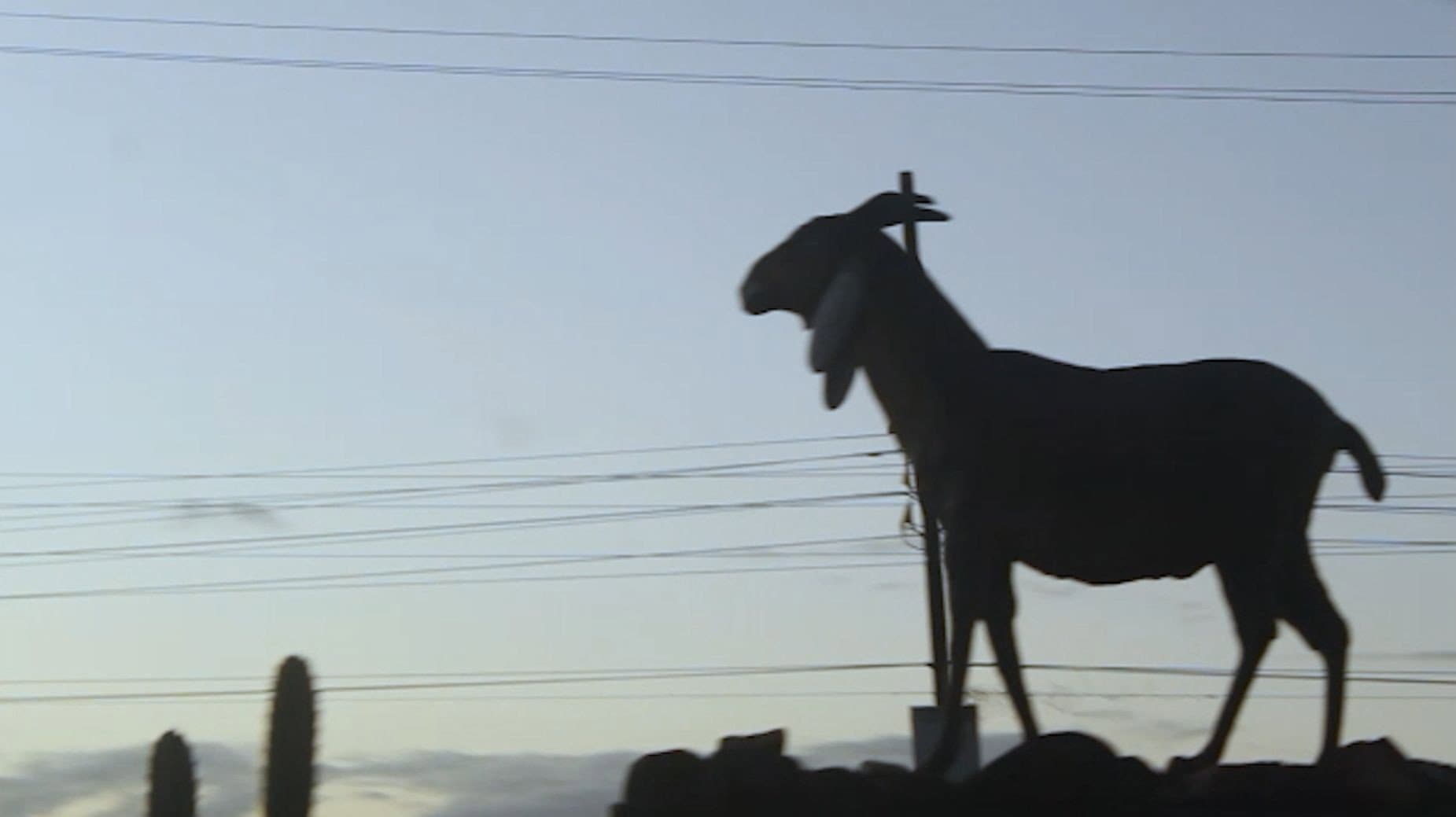 Filme de Amor (Medindo o Caminho de Volta)