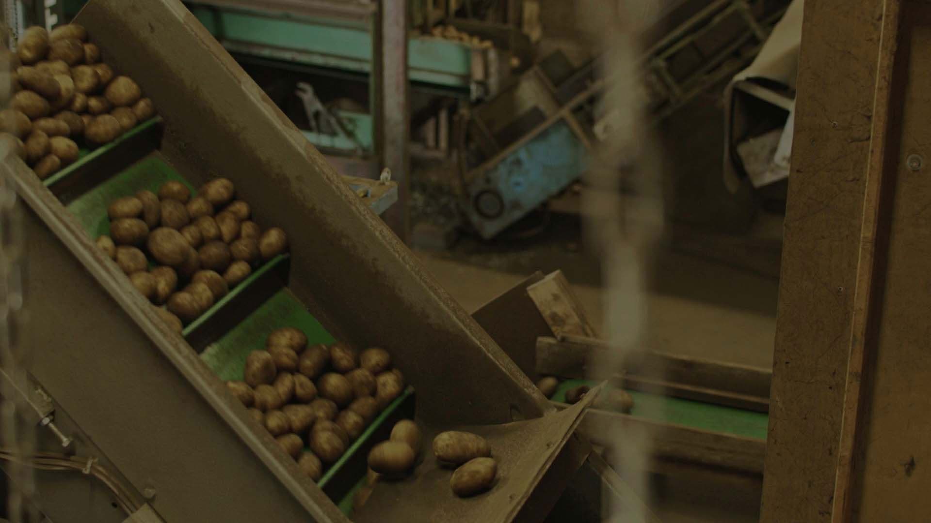 how long will you stay?