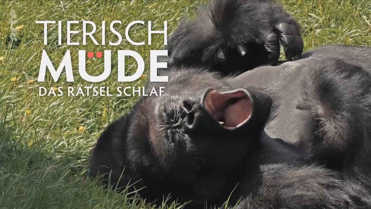 Tierisch müde - Das Rätsel Schlaf