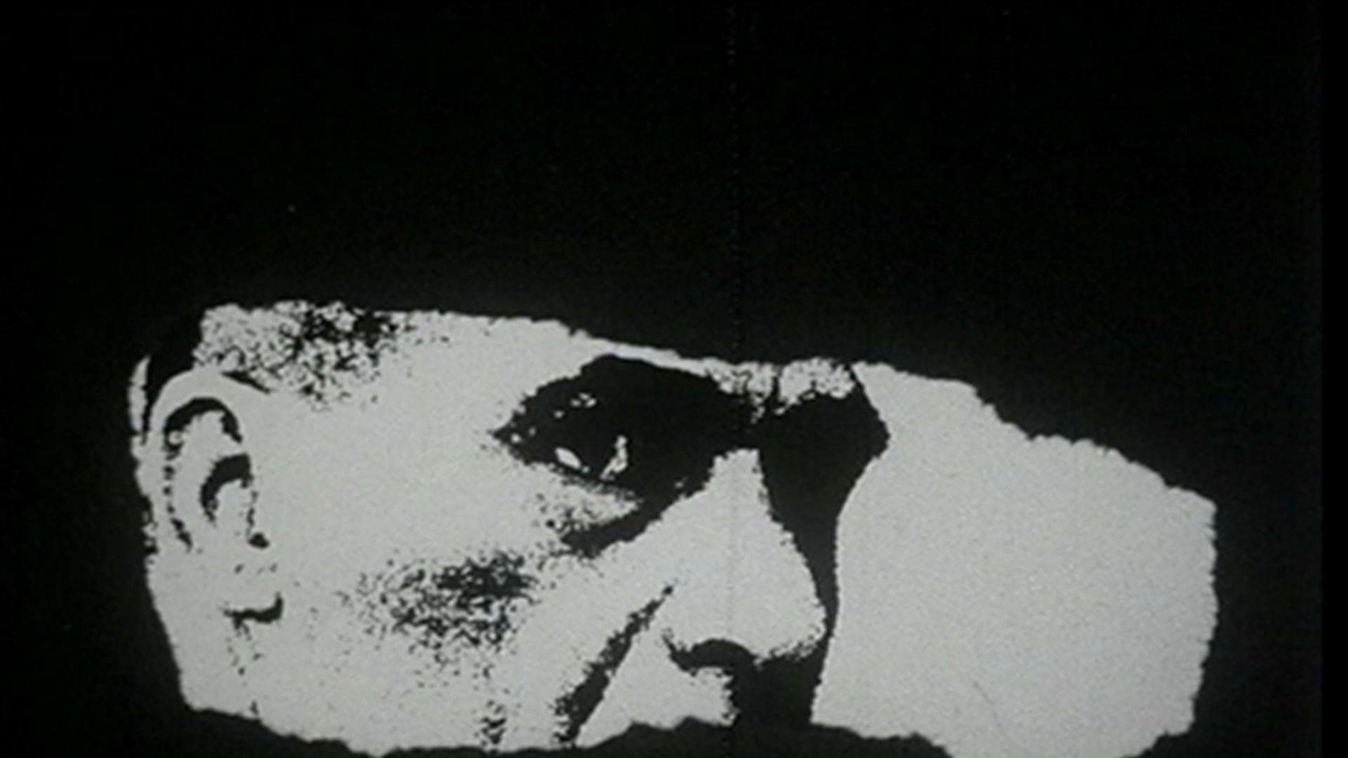 Report on Brazil: Carlos Marighella