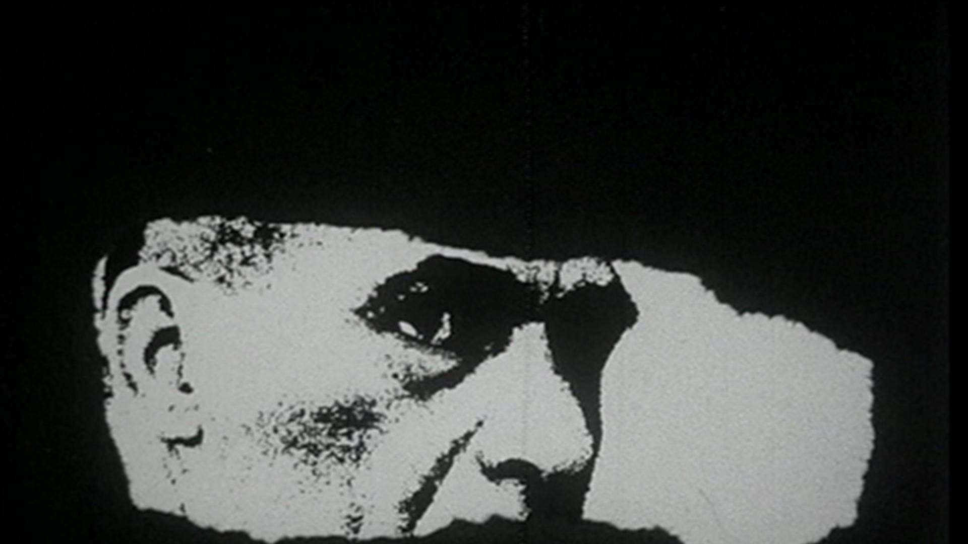 Report on Brazil: Carlos Marighella