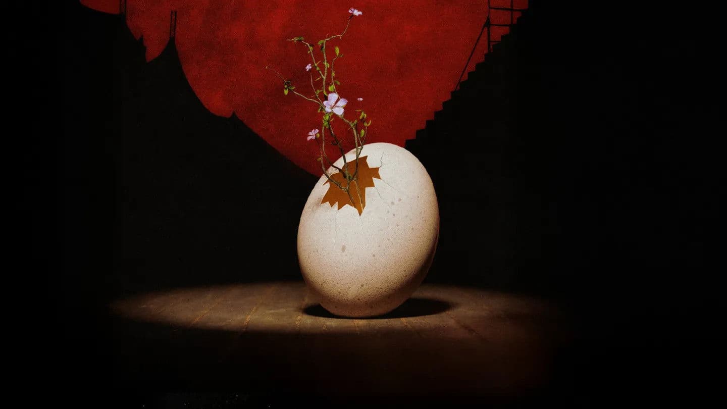 « Le Petit Cirque » at the Nuits de Fourvière