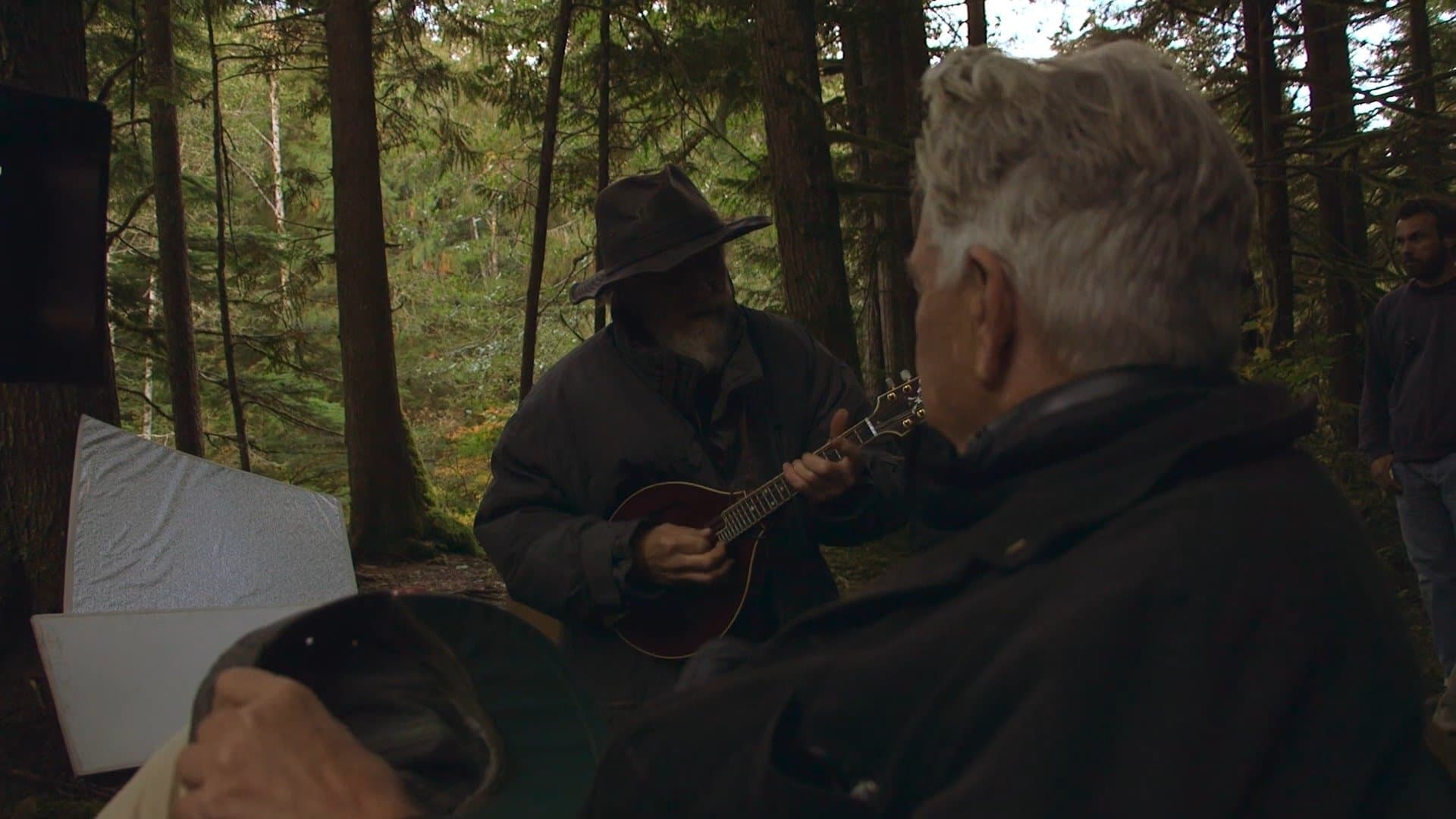 The Man with the Gray Elevated Hair
