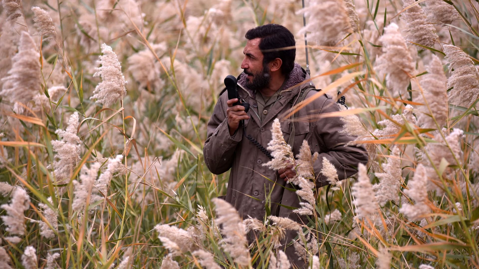 The Situation of Mehdi