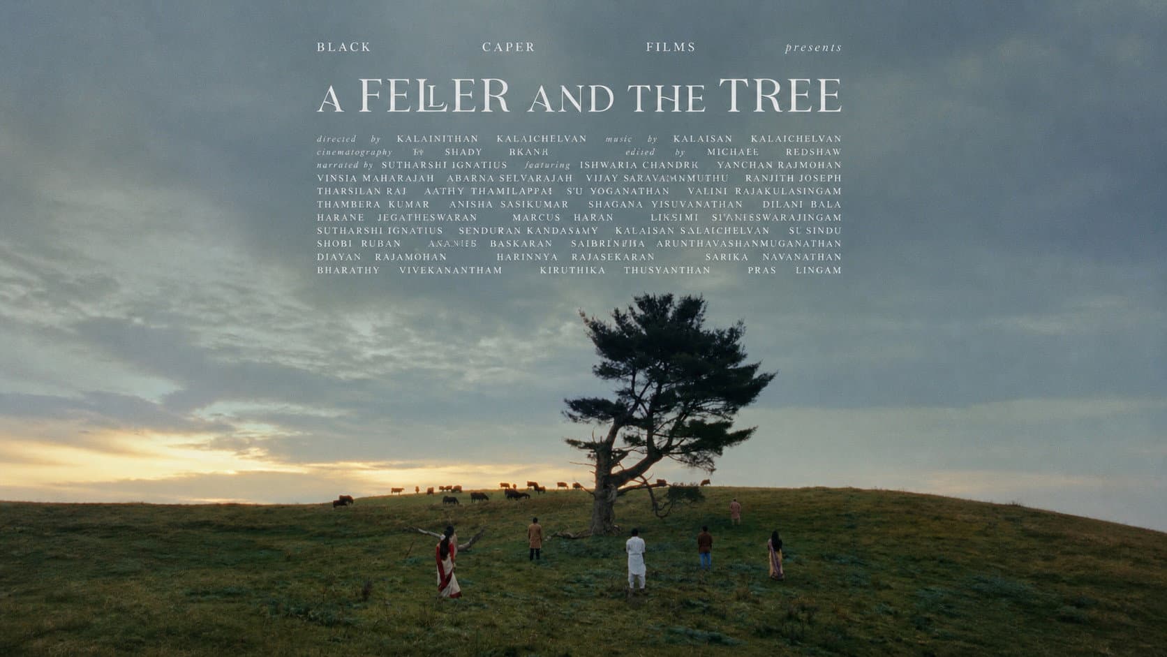 A Feller and the Tree