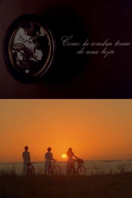 Como la sombra tenue de una hoja