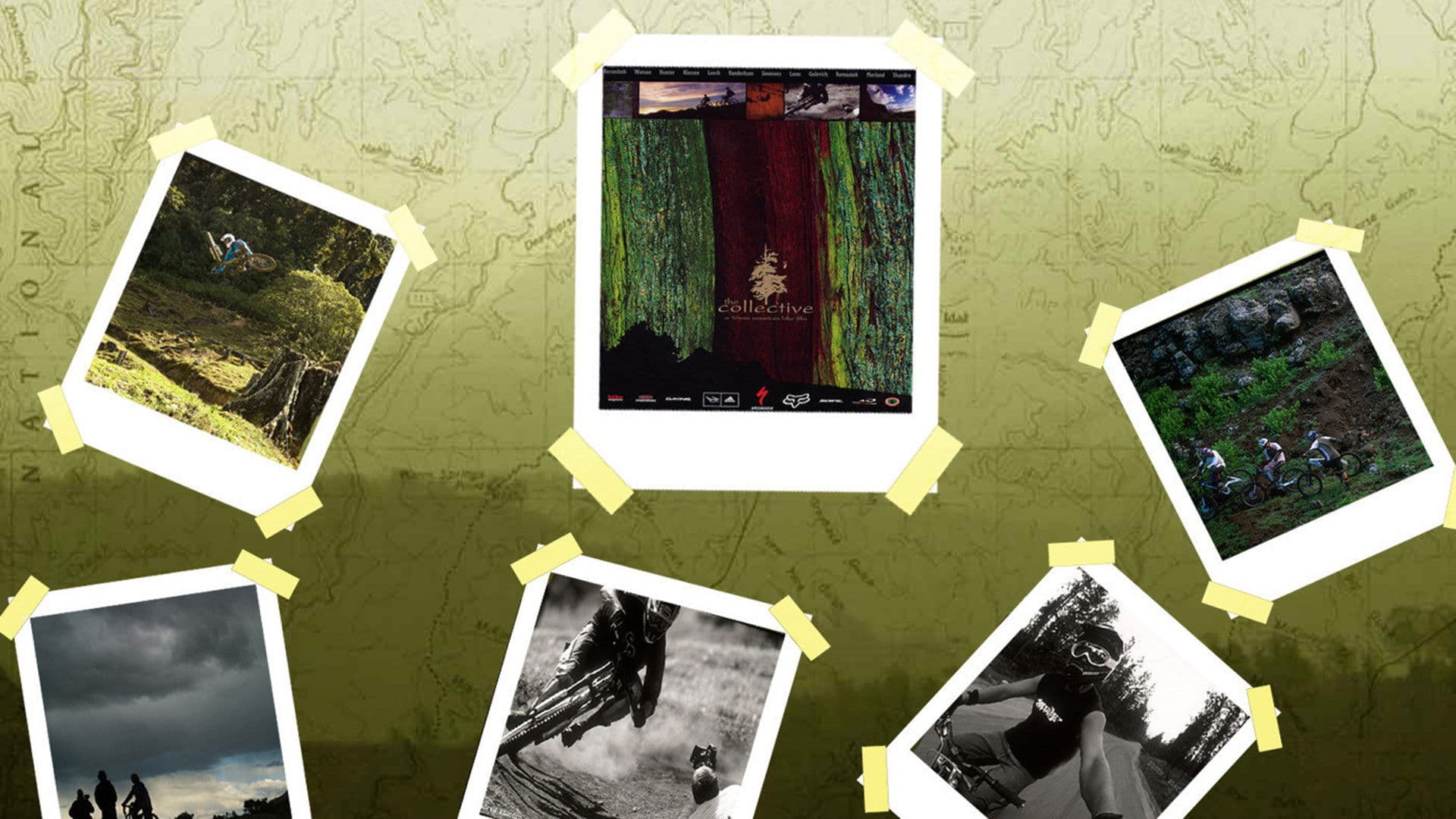 The Collective Collection