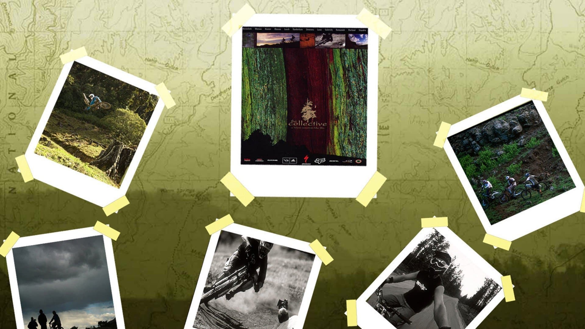 The Collective Collection