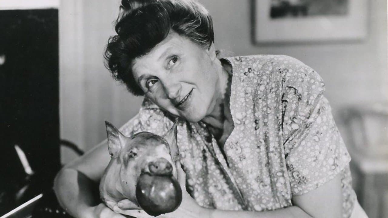 Ma and Pa Kettle Collection