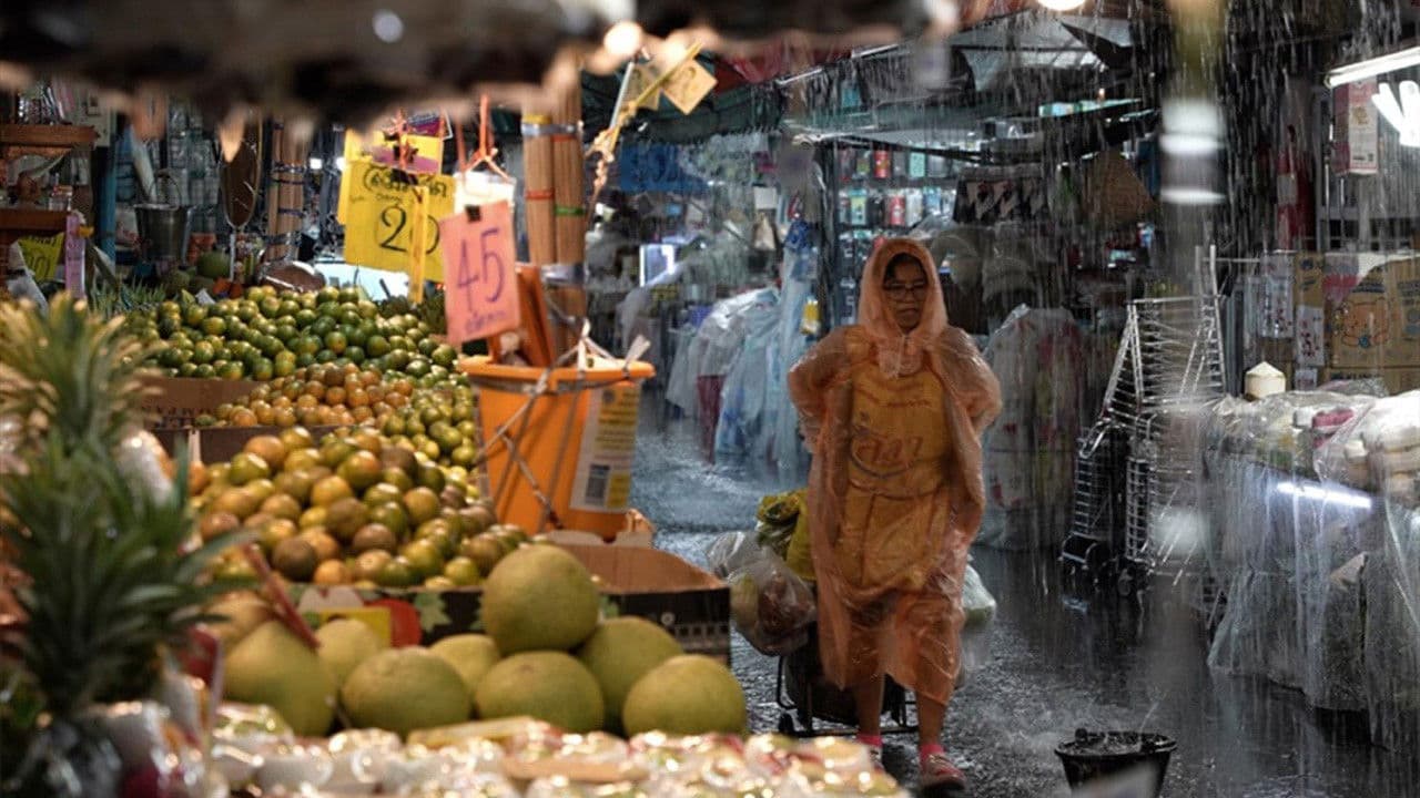 SIAM DIARY - Ein Film über das Reisen