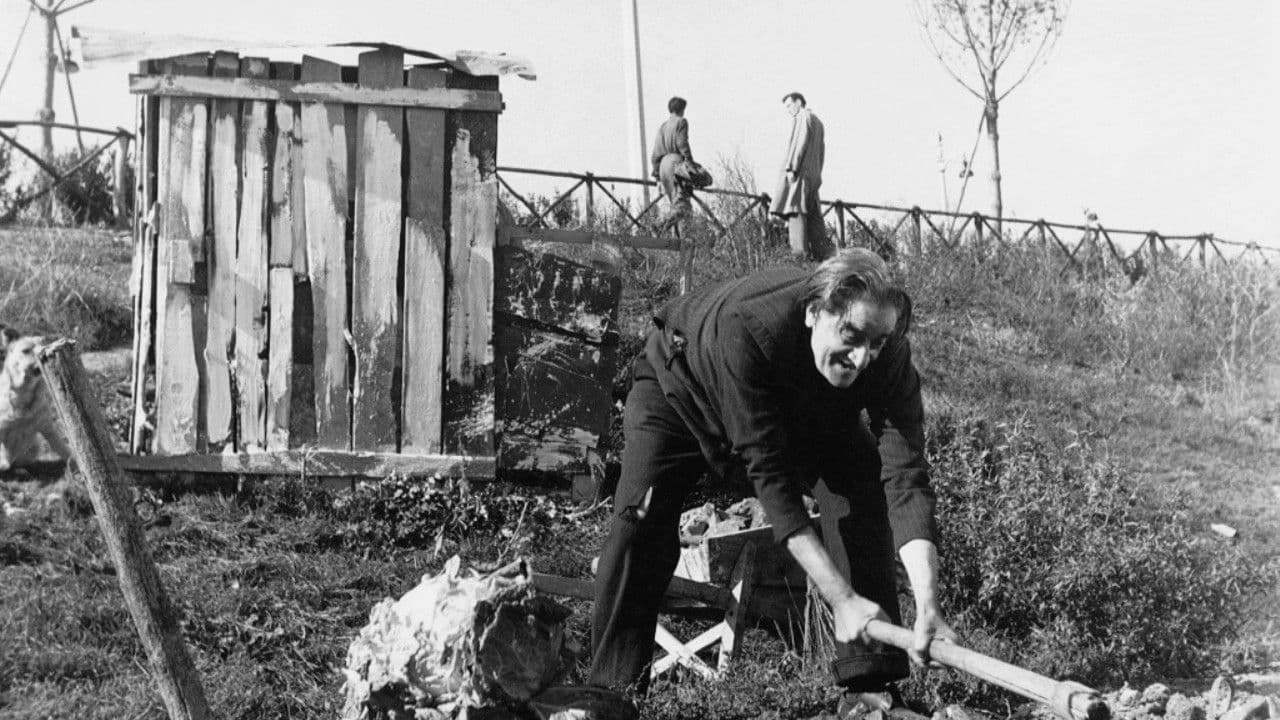 At the Edge of the City