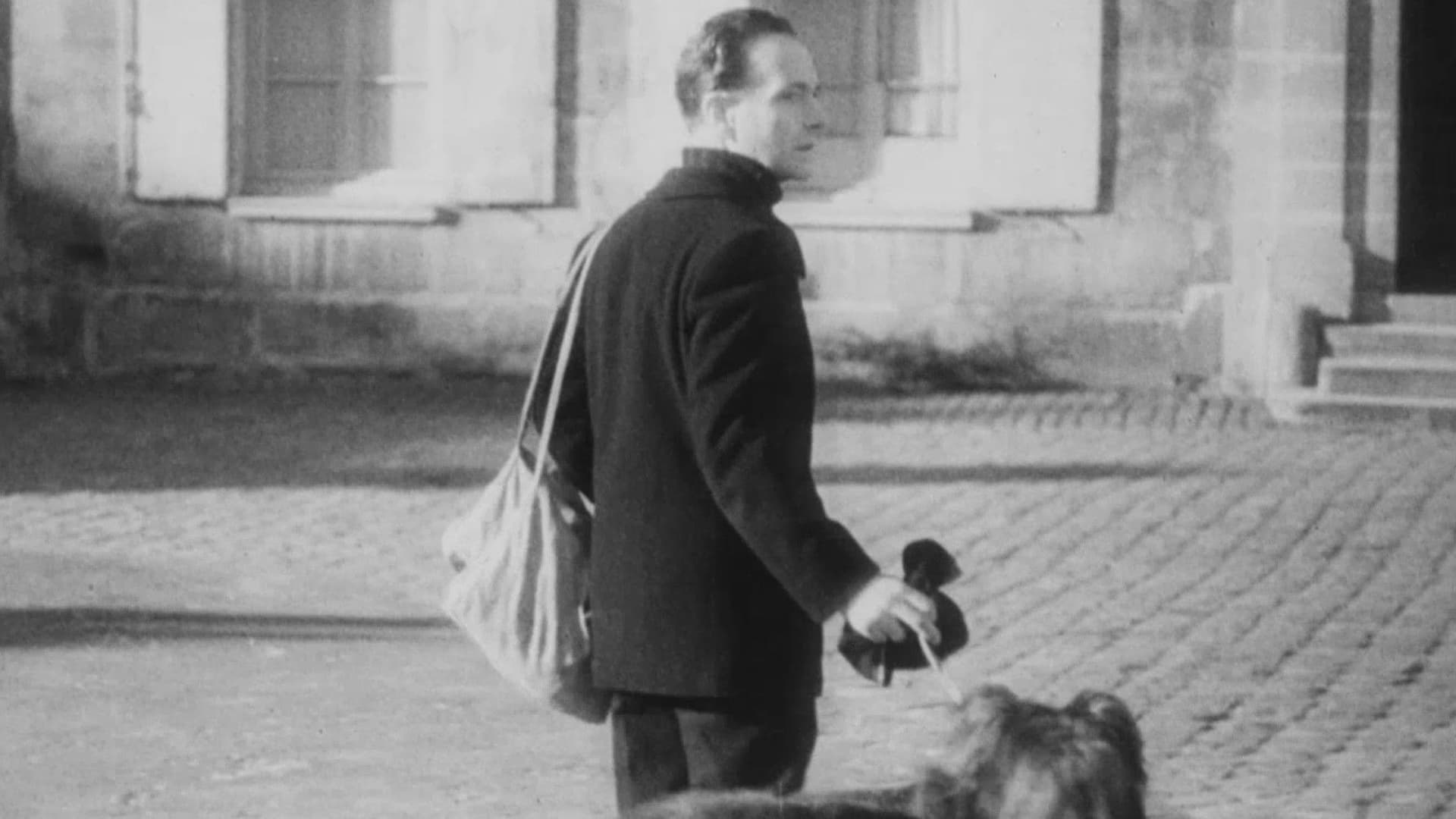 The Traveler Without Luggage