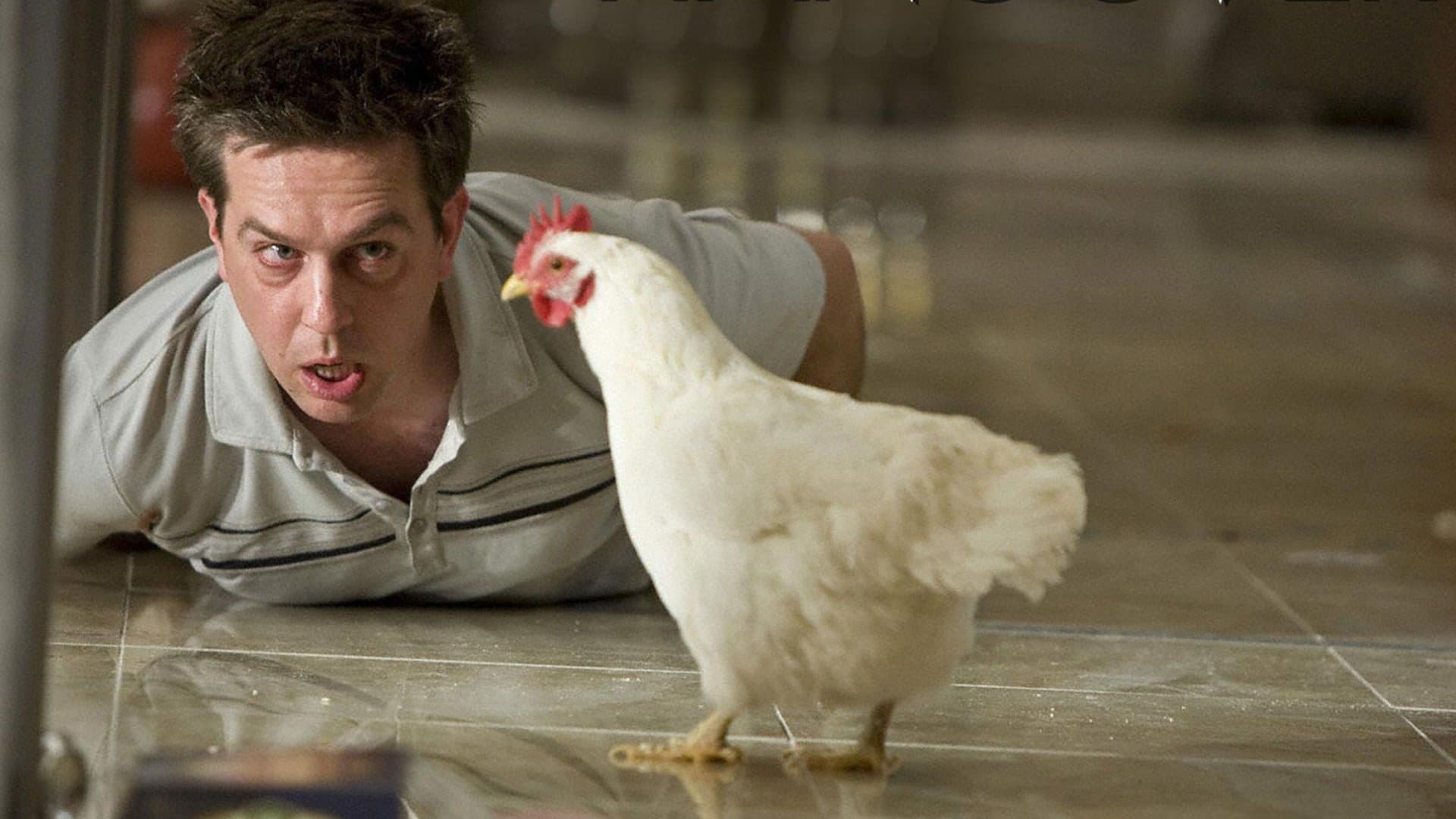 The Hangover Collection