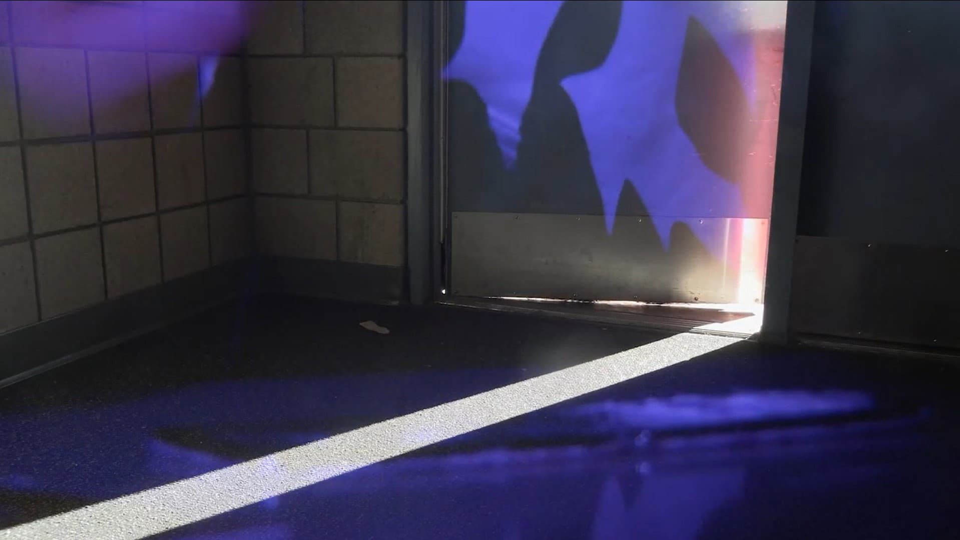 Veronica Solace