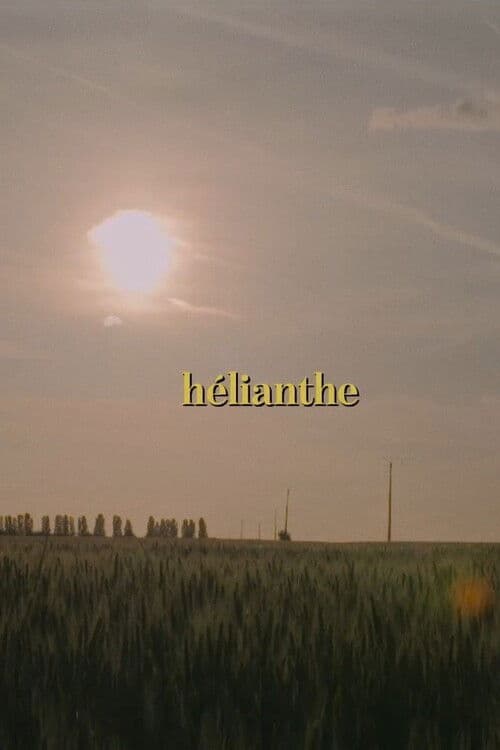 Hélianthe