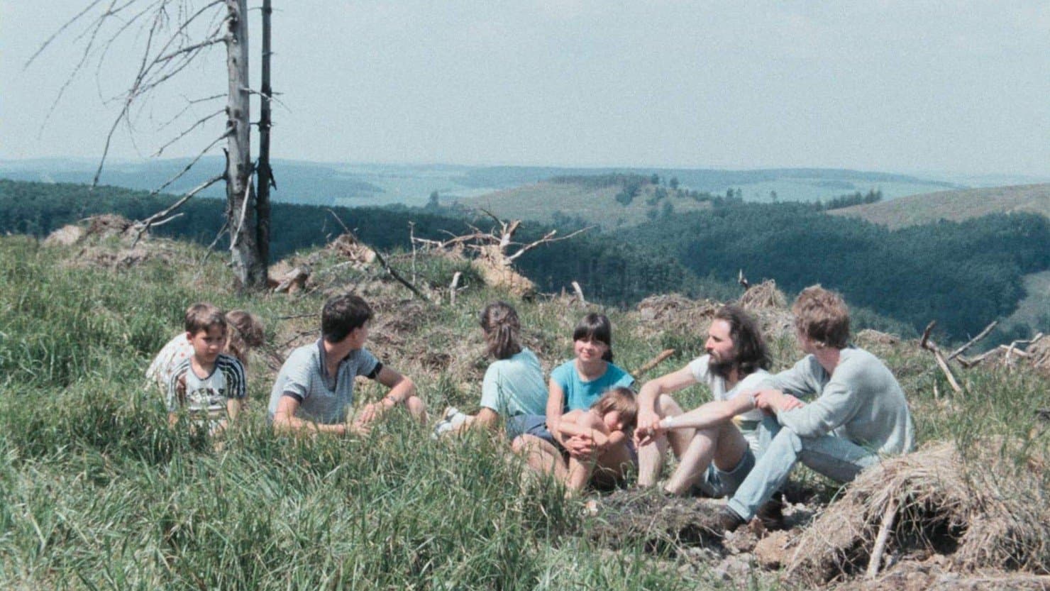 "Wer hat dich, du schöner Wald…" oder Wie ein Film verhindert wurde