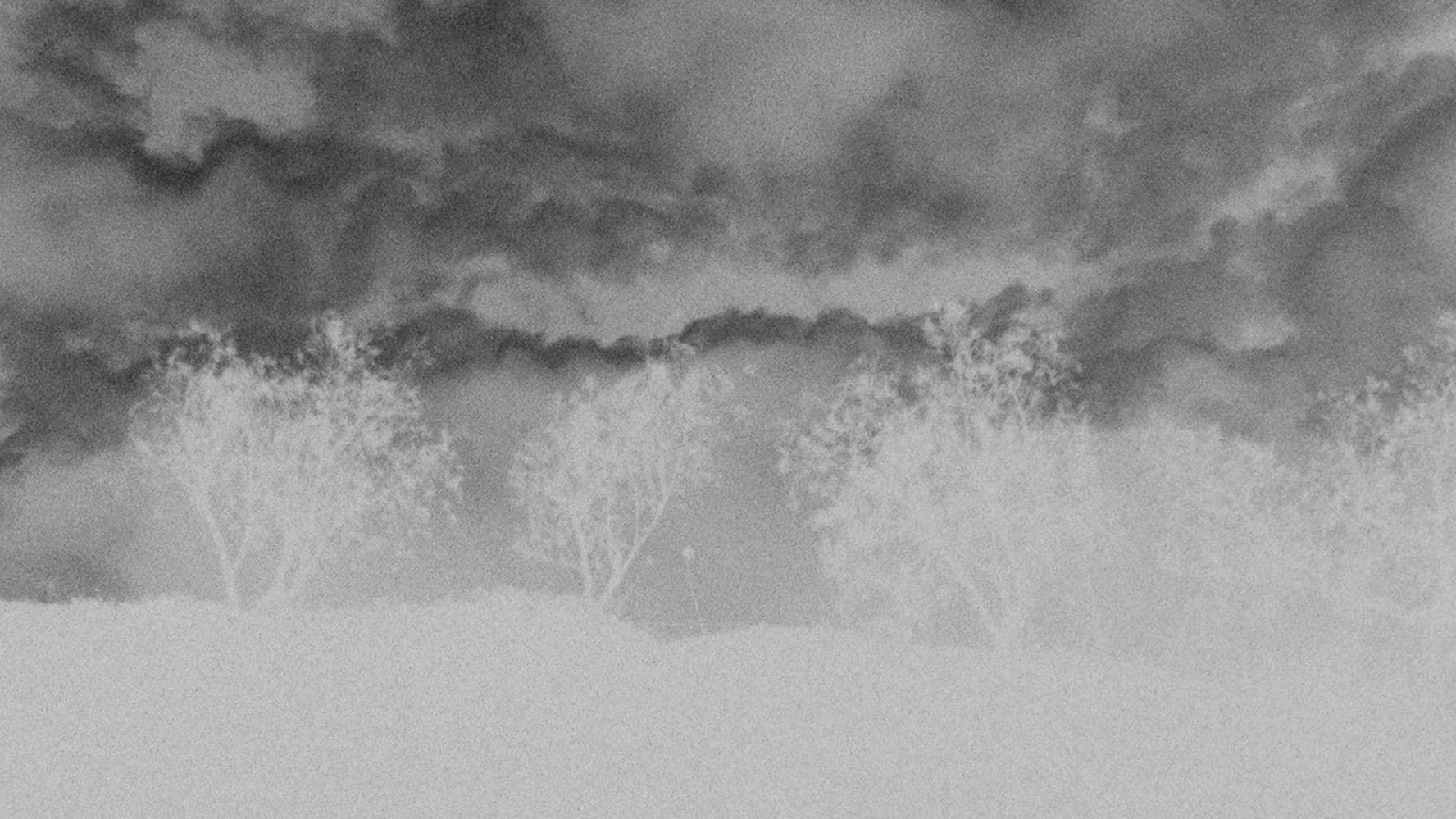 Looking Into the Sun