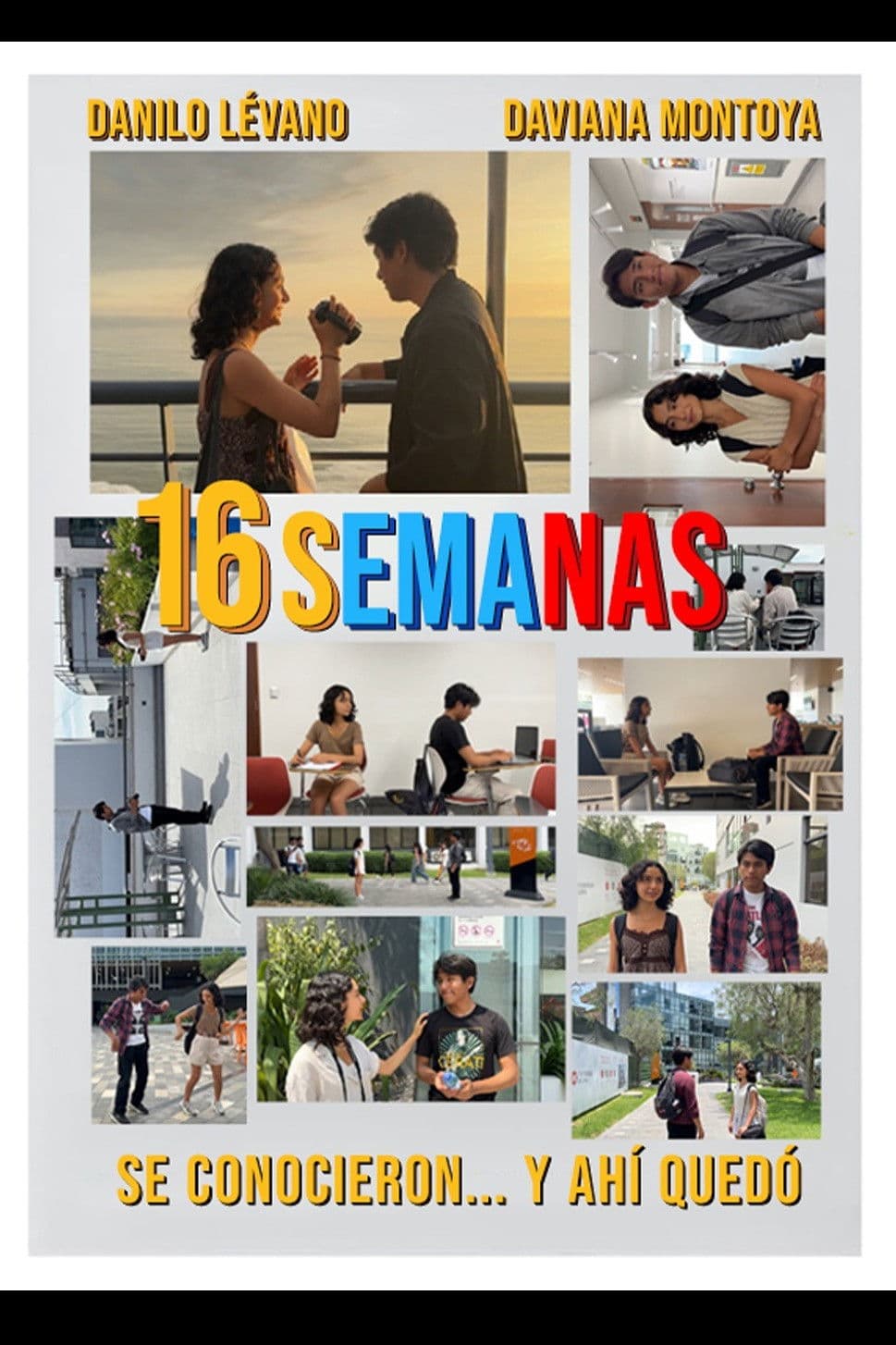 16 semanas