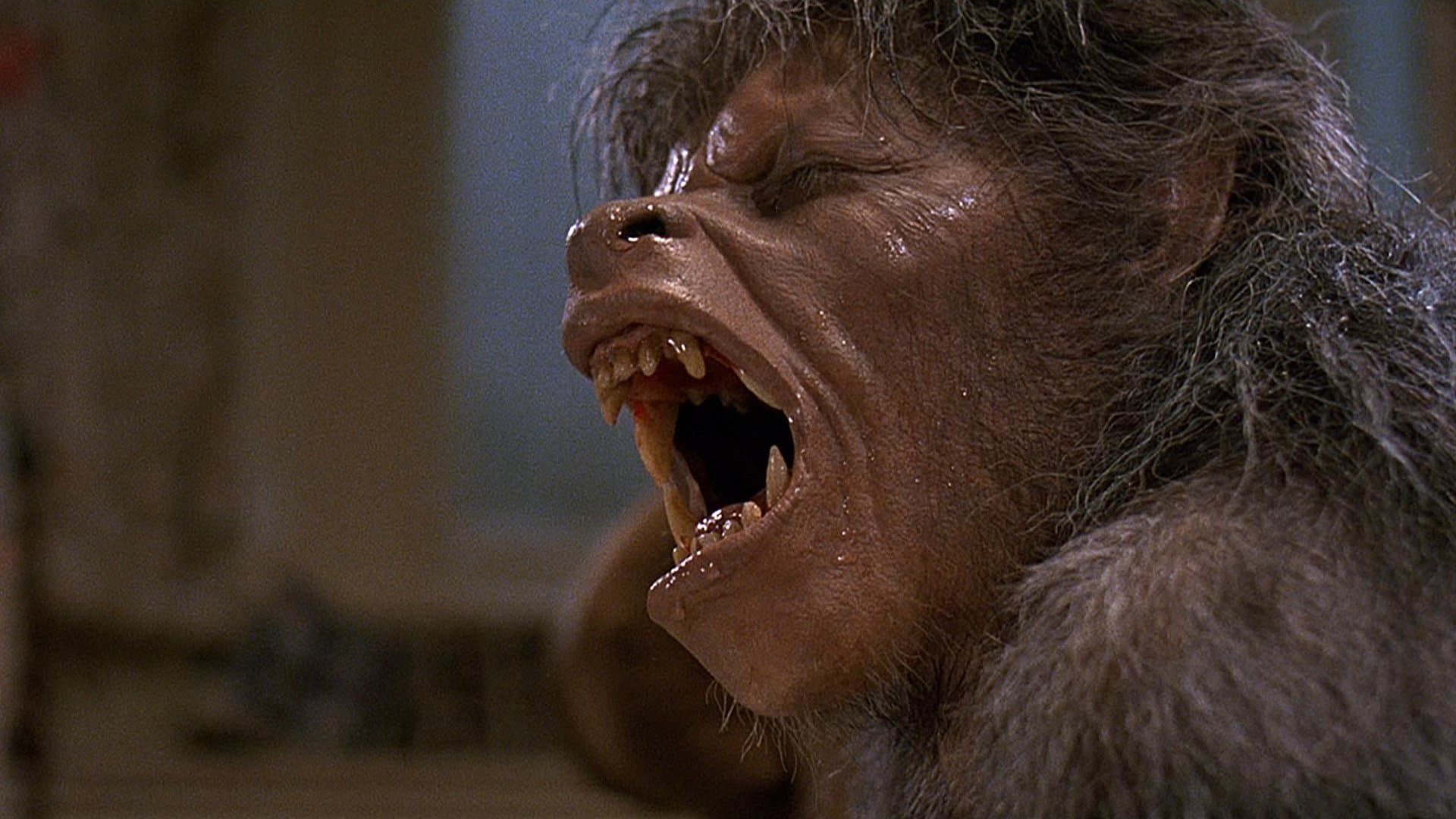 An American Werewolf Collection