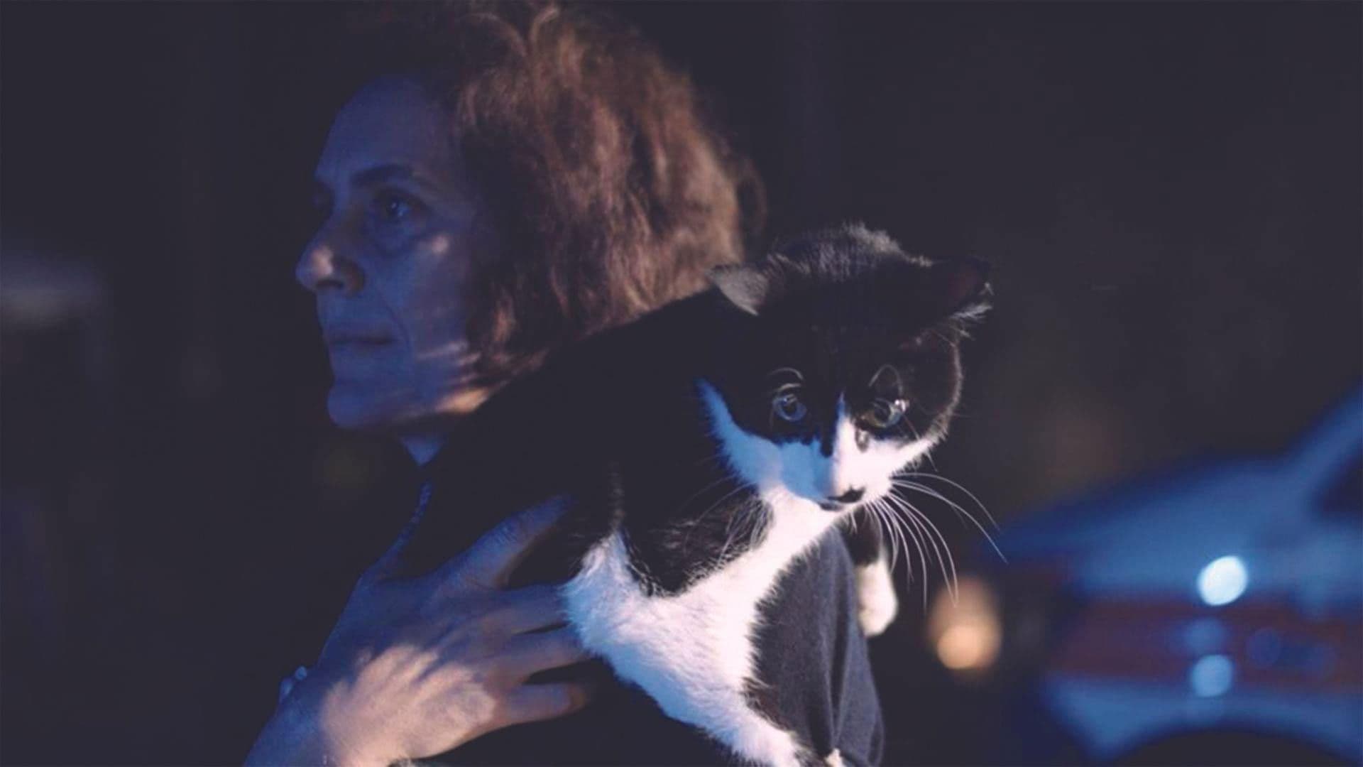 La mécanique des choses