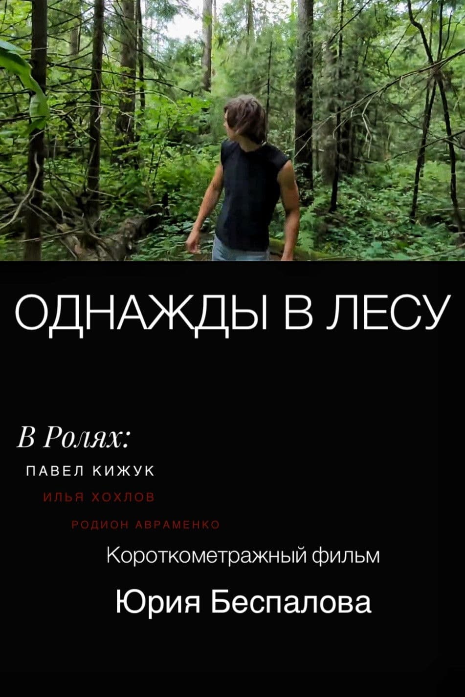 Once Upon a Time in the Forest