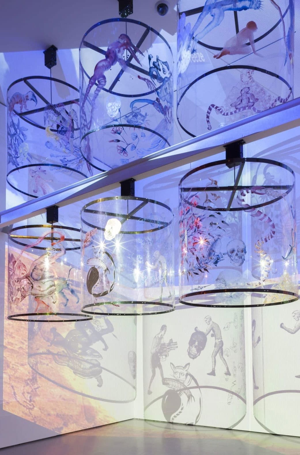 In Search of Vanished Blood