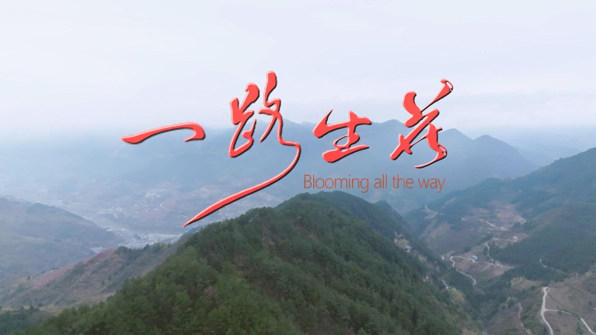 Blooming All the Way