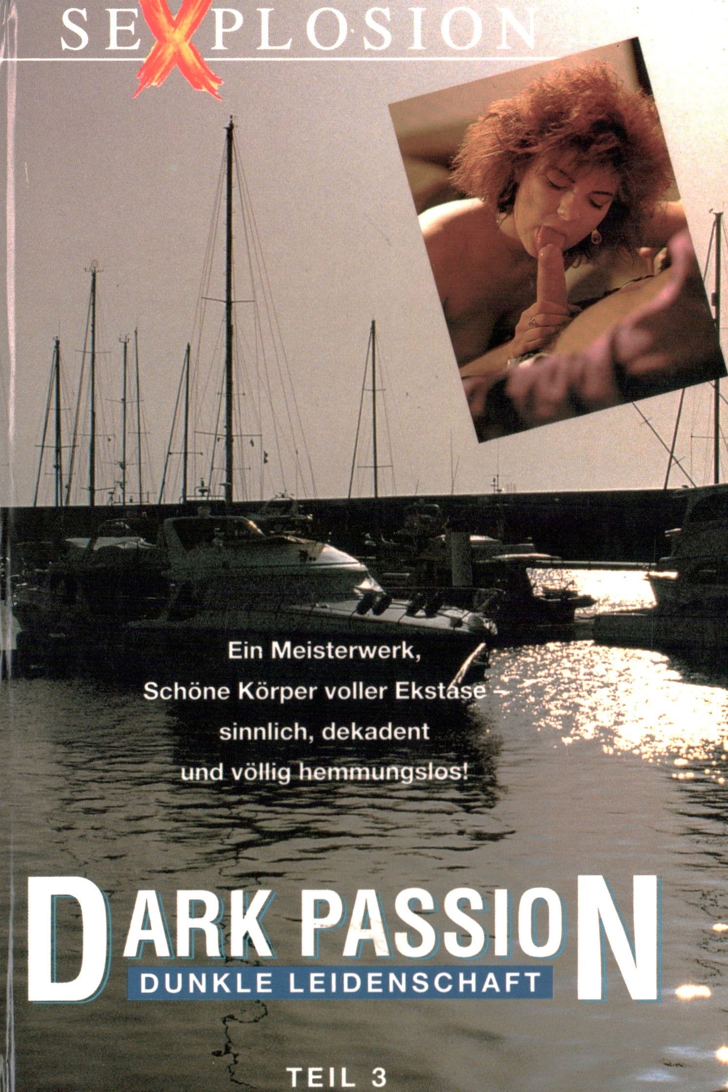Dark Passion - Dunkle Leidenschaft 3