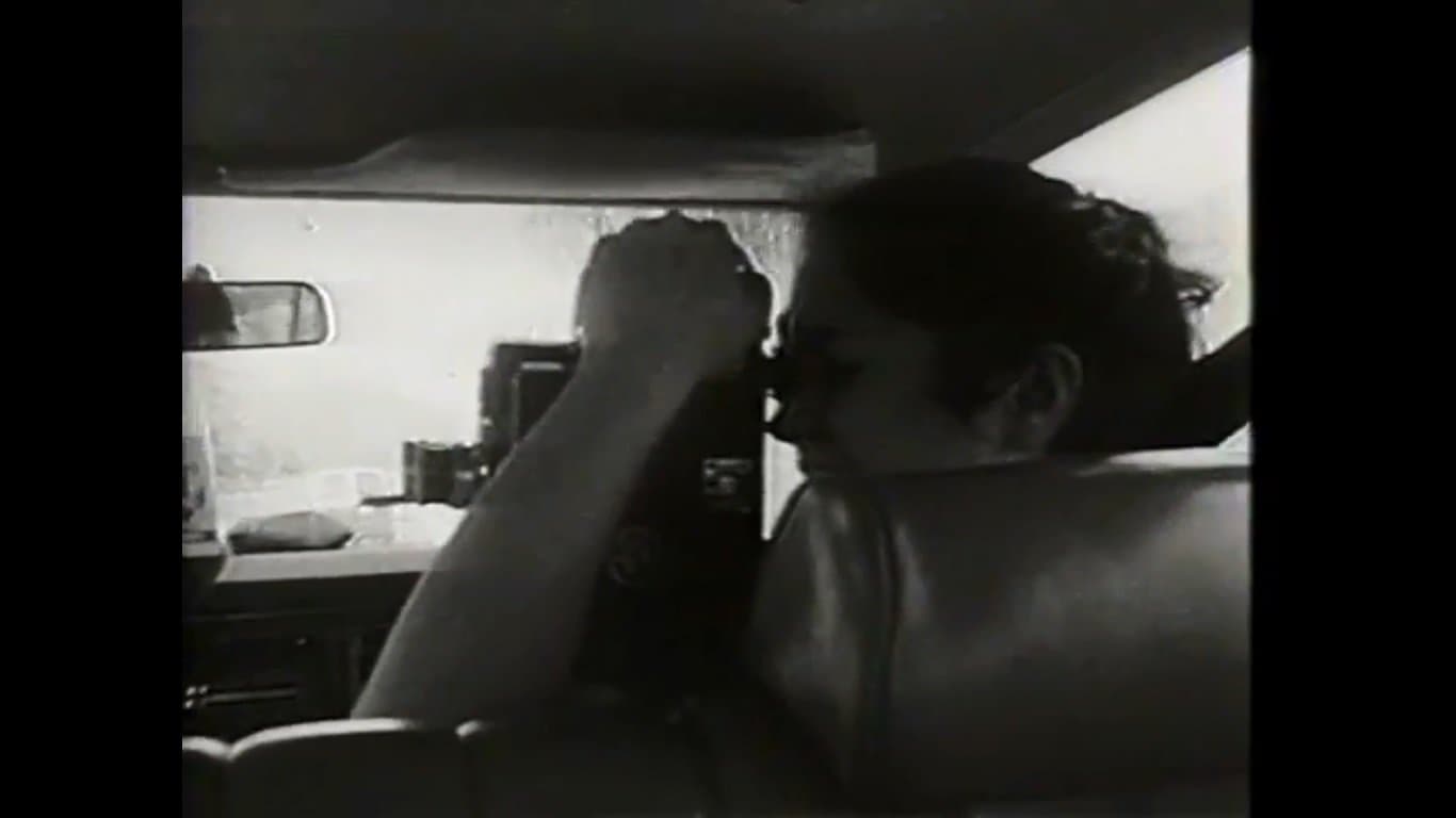 Road Movie or What I Learned in a Buick Station Wagon